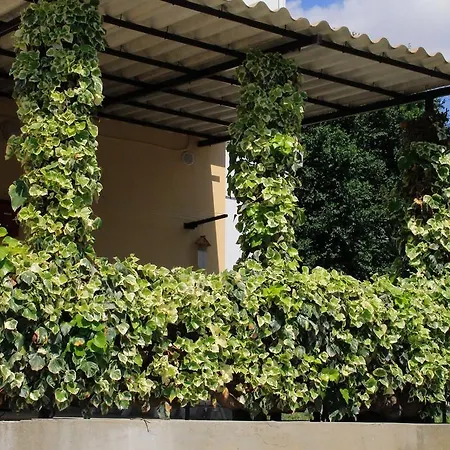 La Mia Resilienza Nei Sassi Di Guest house