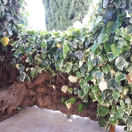 La Mia Resilienza Nei Sassi Di Hotell