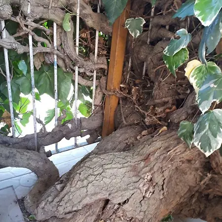 酒店 La Mia Resilienza Nei Sassi Di 马泰拉