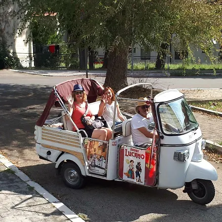 La Mia Resilienza Nei Sassi Di